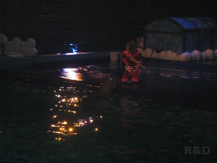I&Y 30 juni 2010 (2) Dolfinarium Harderwijk.JPG